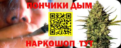 индика Михайловка
