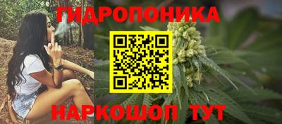 индика Михайловка
