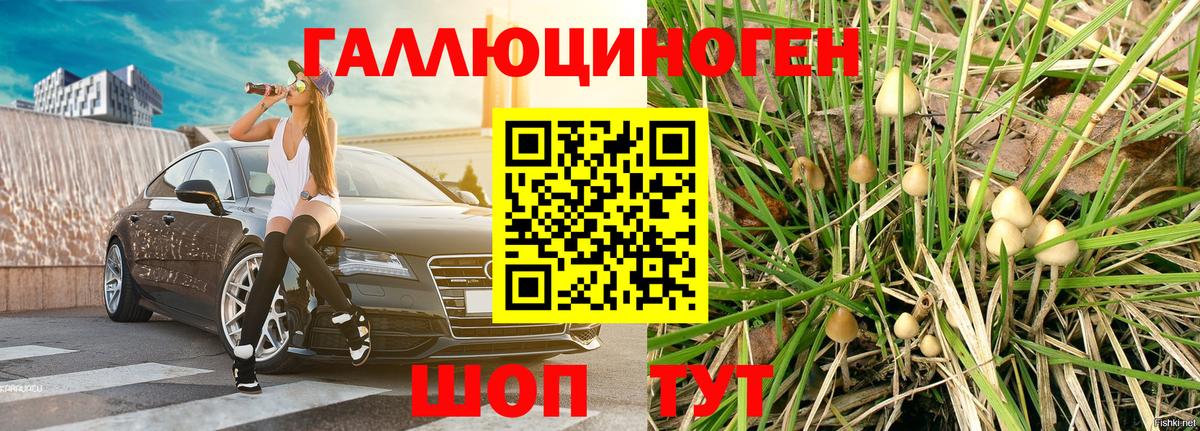 Псилоцибиновые грибы MAGIC MUSHROOMS  купить  сайты  Кулебаки  Вход с VPN 